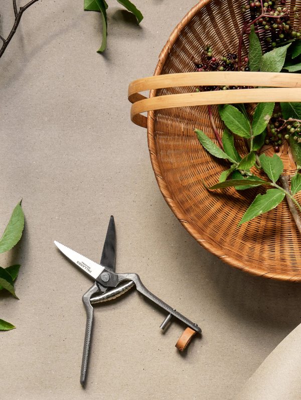 Audo_Plant Shears：圖片 3