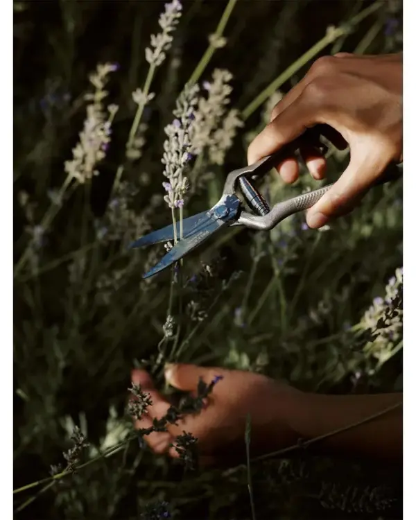 Hover Product Image