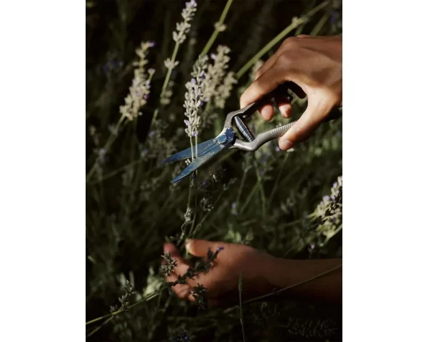 Audo_Plant Shears：圖片 2
