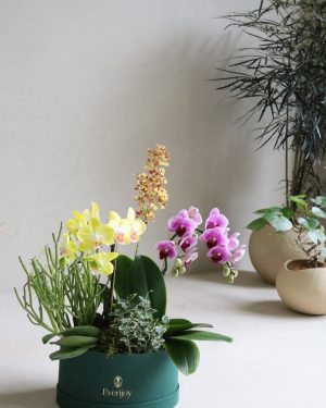 經典蘭花組盆課程