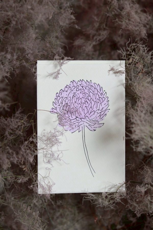 Scribble & Daub_Charleston Collection