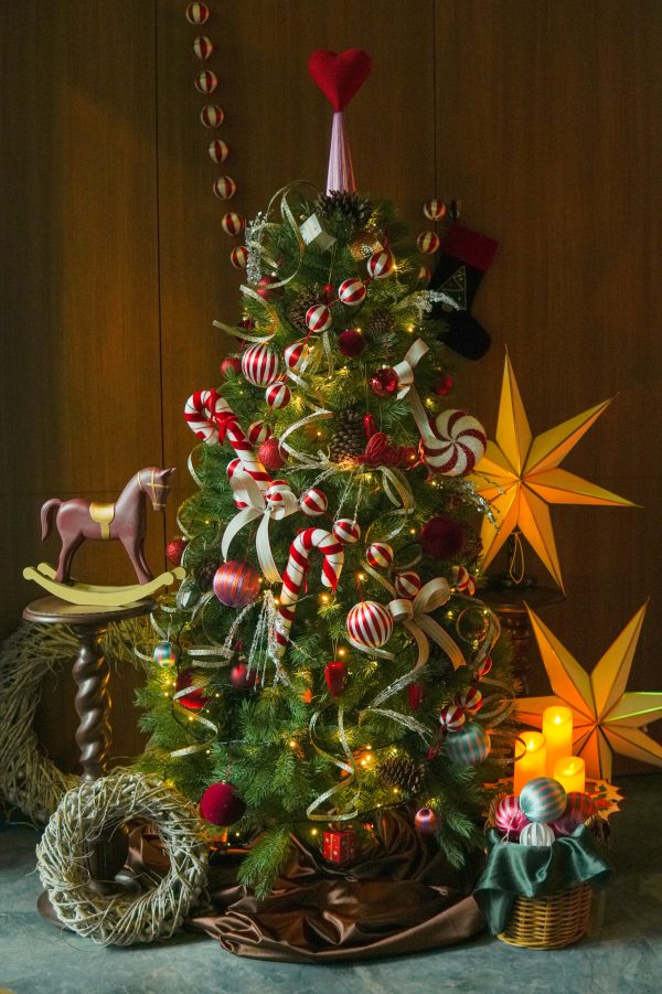 落地聖誕樹(裸樹)