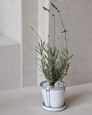 植物與生活的療癒練習（Marianne Hallberg X 瀨戶燒）