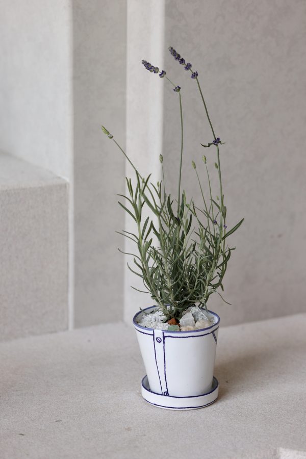 植物與生活的療癒練習（Marianne Hallberg X 瀨戶燒）