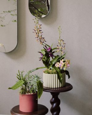 母親節限定課程