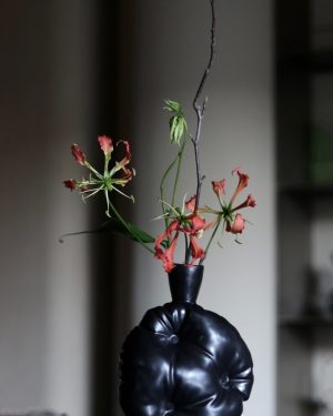 Hover Product Image
