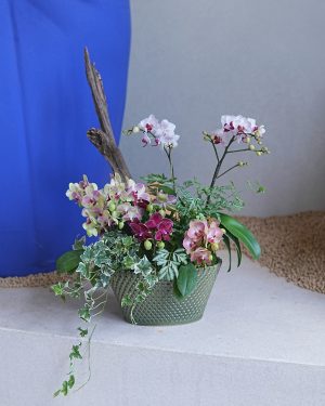 蘭語日常｜蘭花組盆工作坊