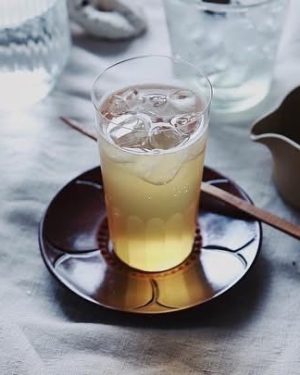 夏日微醺・康普茶釀製日